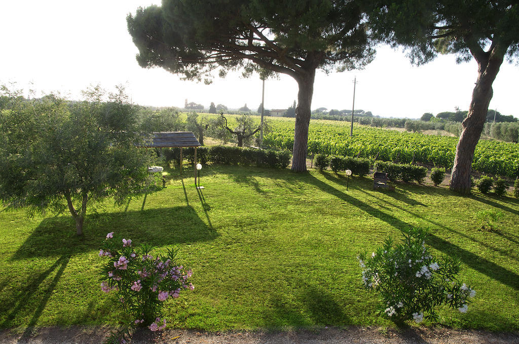Agriturismo Quattro Pini Castagneto Carducci Room photo
